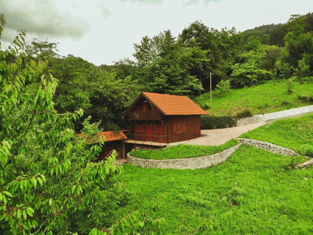 فيلا Pluznjeفي Lazec Country House المظهر الخارجي الصورة
