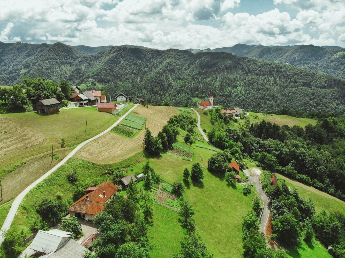 فيلا Pluznjeفي Lazec Country House المظهر الخارجي الصورة